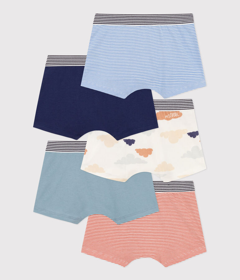 Boys' Cloud Patterned Cotton Boxer Shorts - 5-Pack multicolor