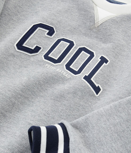 Boy's Sweatshirt SUBWAY CHINE grey