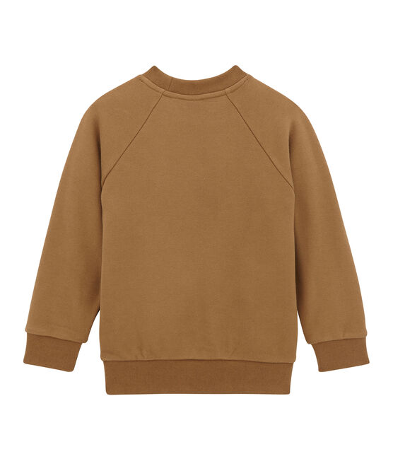 Boy's sweatshirt BRINDILLE brown