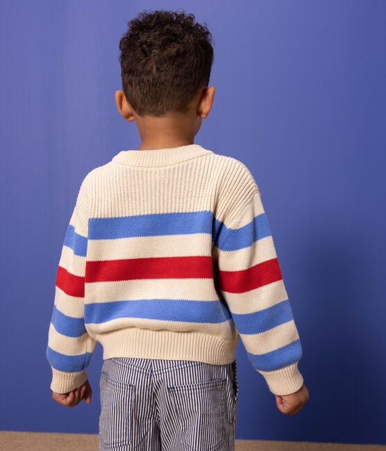 Children's Unisex Stripy Cotton Pullover AVALANCHE white/EDNA /PEPS