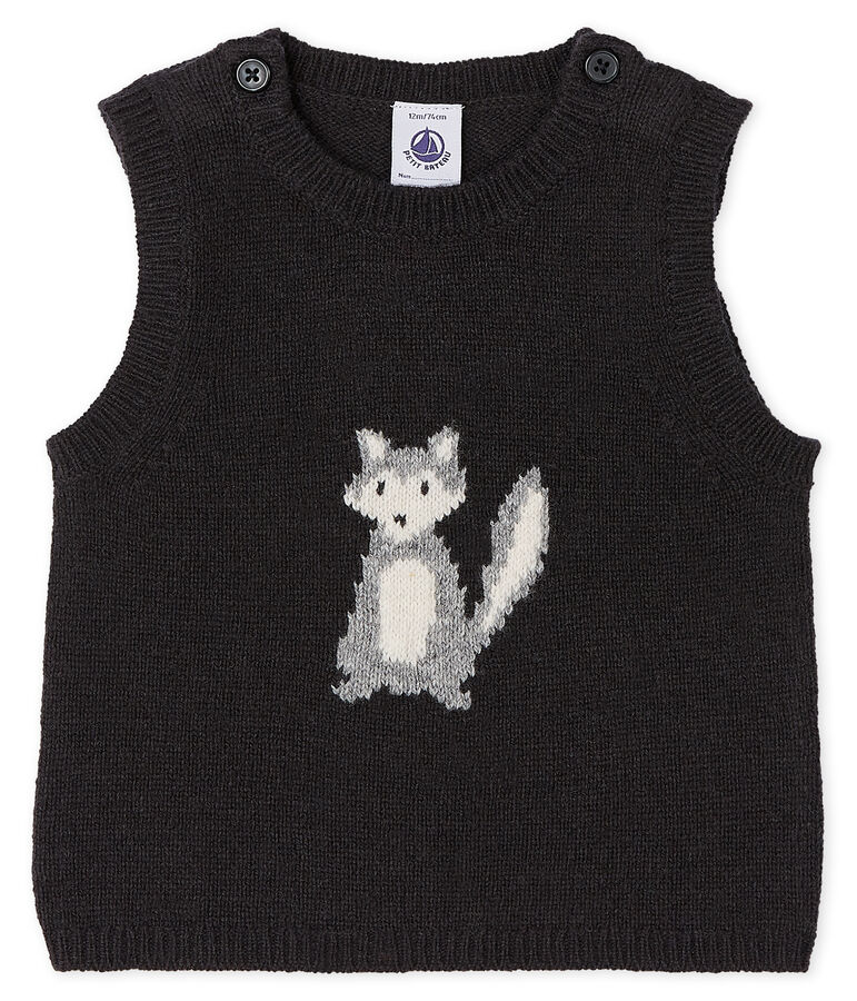 Baby Boys' Sleeveless Pullover grey