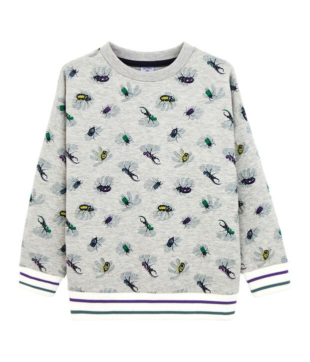 Boy's Sweatshirt grey/multicolor