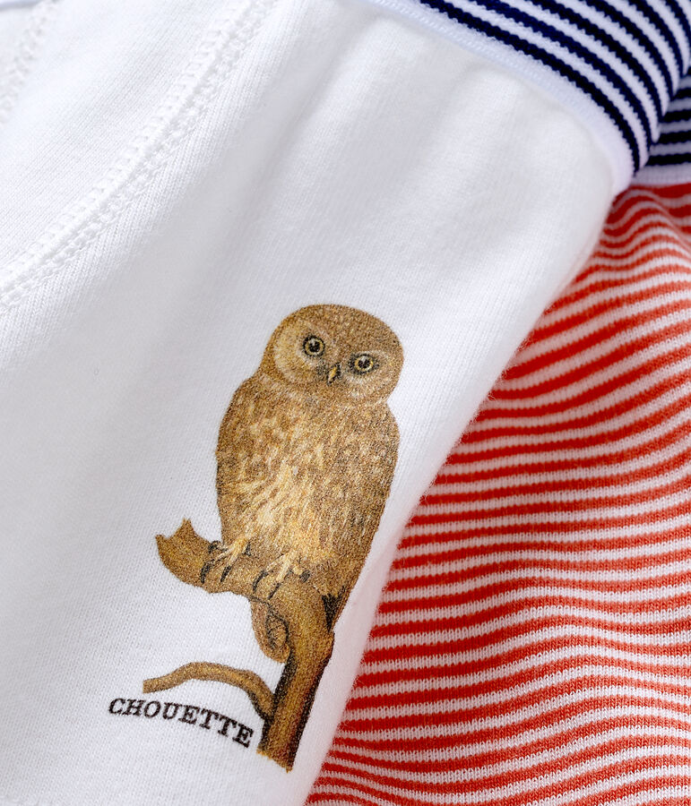 Petit Bateau x Deyrolle Boys' Boxer Shorts - 2-Piece Set Variante 1 PACK