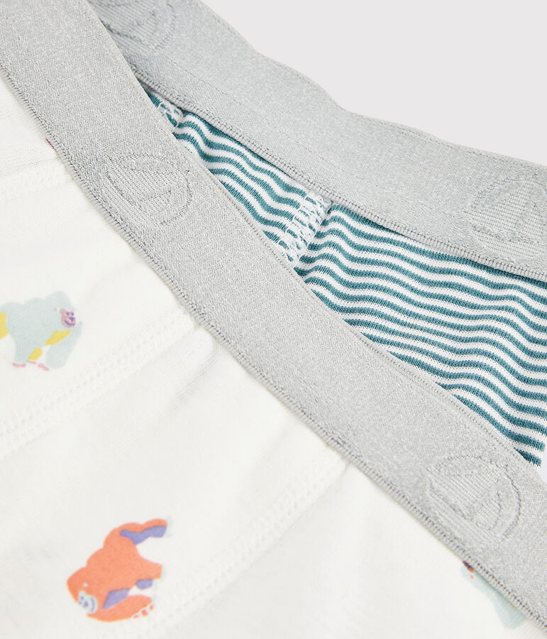 Boys' Monkey Print Boxer Shorts - 2-Piece Set variante 1