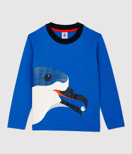 Boys' Long-Sleeved Cotton T-Shirt RUISSEAU blue