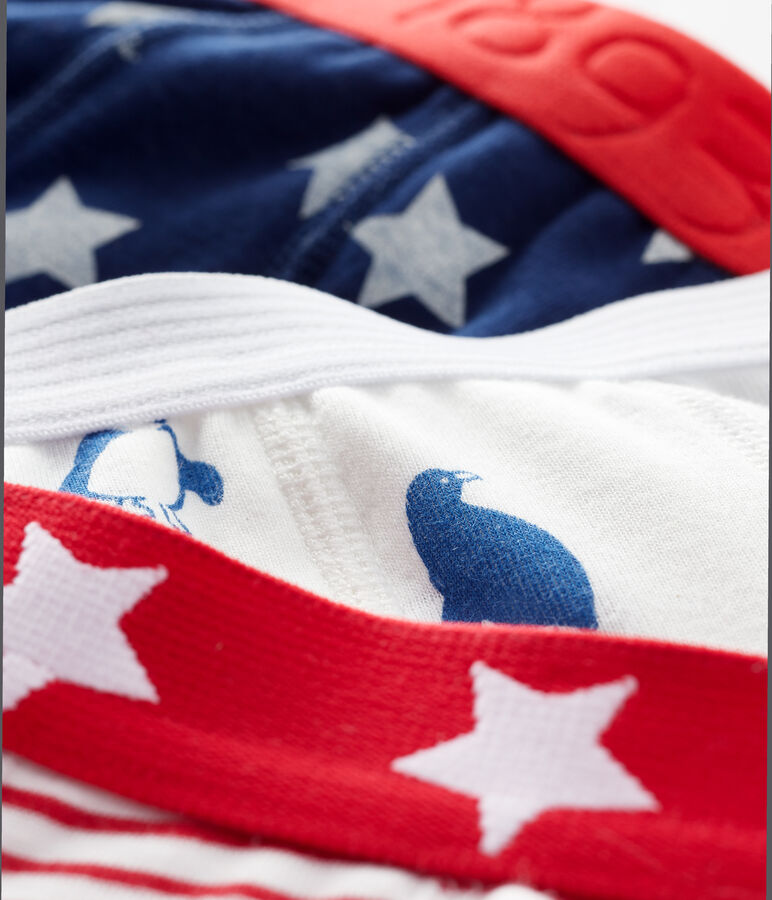 Boys' Print Boxer Shorts - 3-Piece Set multicolor