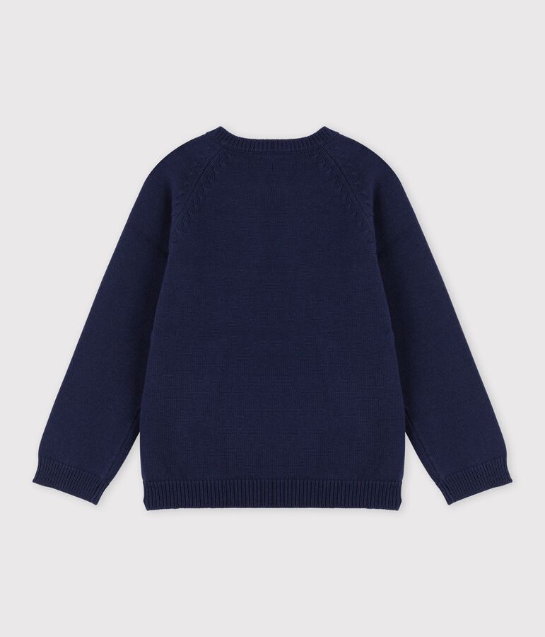 Boys' Wool/Cotton Jumper blue