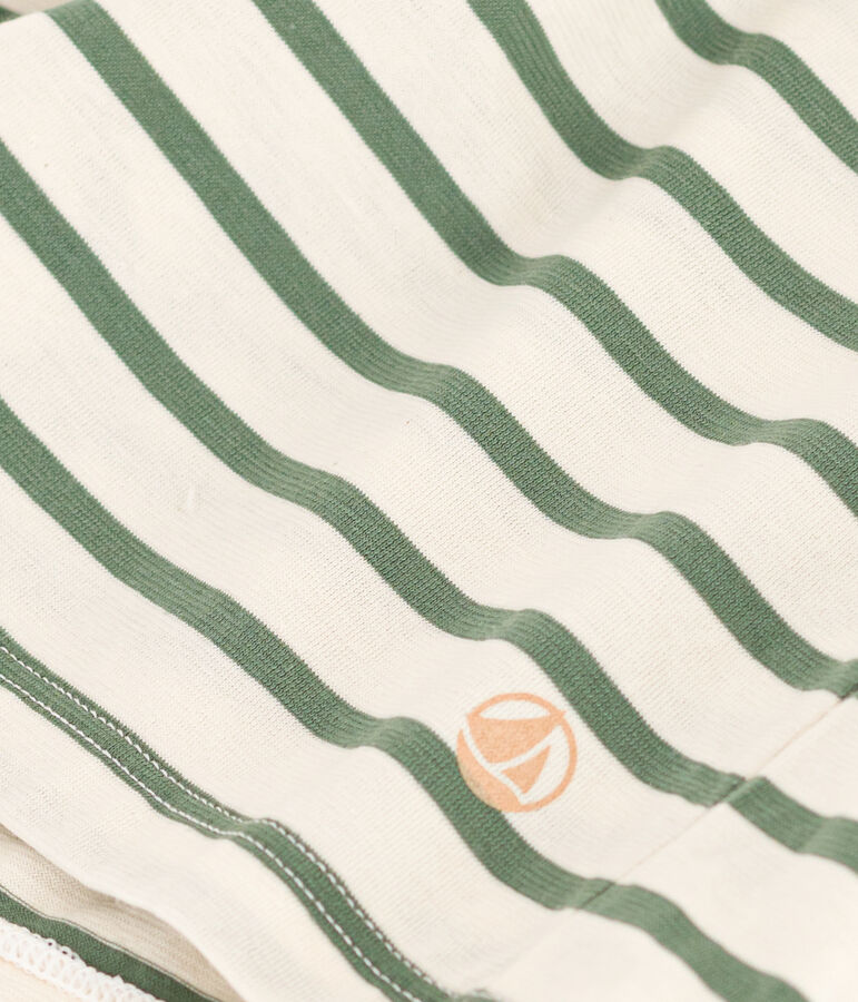 Women's The Straight V-Neck Striped Cotton T-Shirt Ecru/green