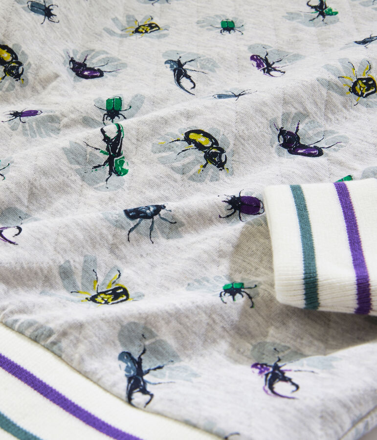 Boy's Sweatshirt grey/multicolor