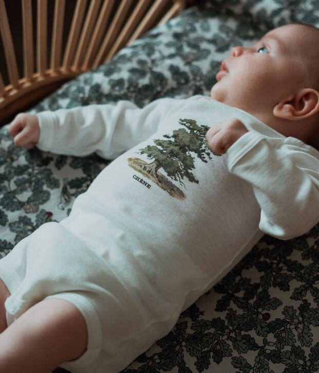 Petit Bateau x Deyrolle Baby Boys' Long-Sleeved Bodysuit - 3-Piece Set multicolor