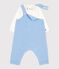 Babies' dungarees/body set in plain cotton with embroidered details FLO blue/MILK
