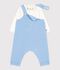 Babies' dungarees/body set in plain cotton with embroidered details blue/ecru