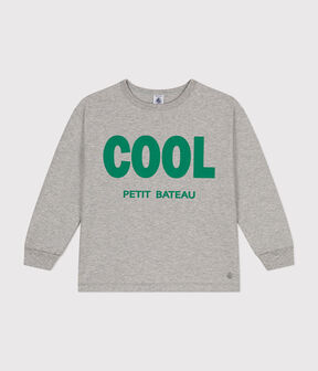CHATON CHINE grey