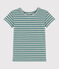 Women's COTTON/LINEN BLEND STRAIGHT FIT T-SHIRT BRUT green/AVALANCHE white