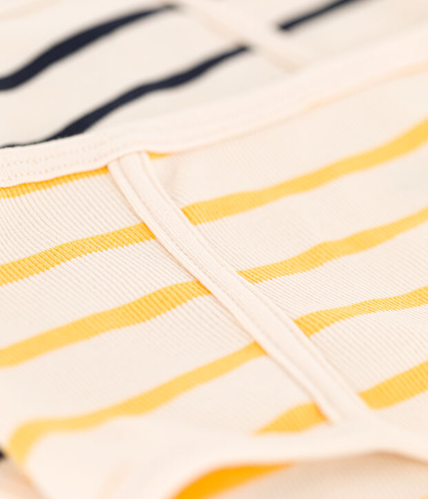 Women's High-Waisted Cotton Briefs - 2-Pack multicolor