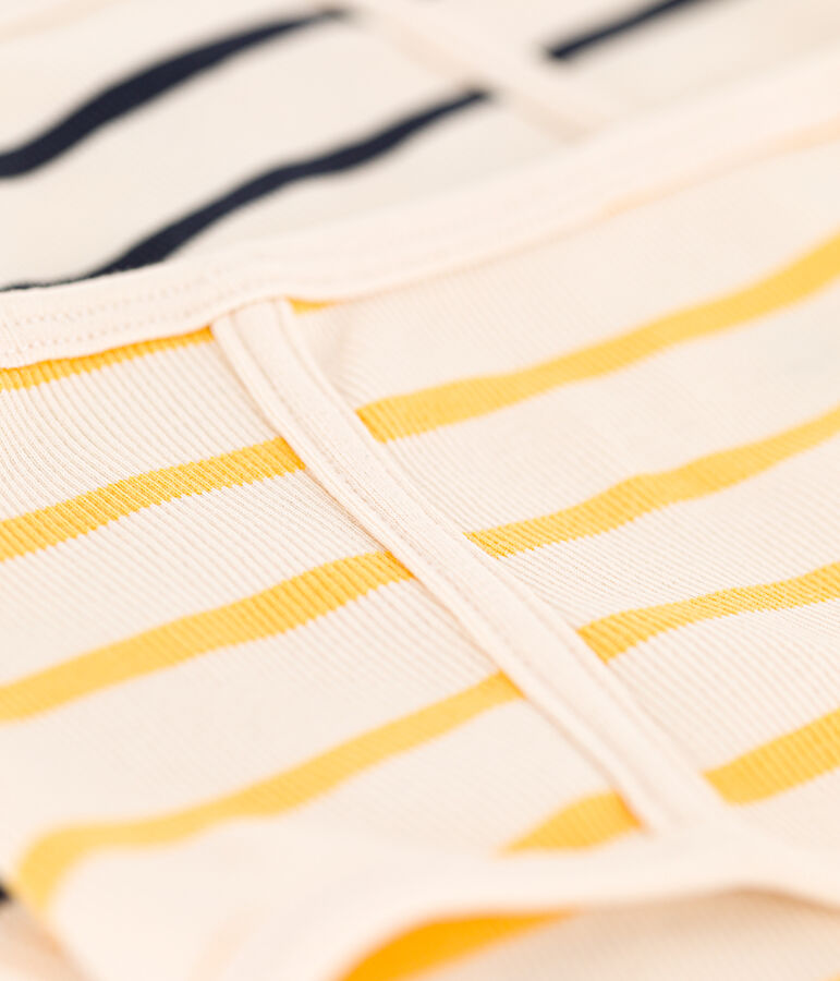 Women's High-Waisted Cotton Briefs - 2-Pack multicolor