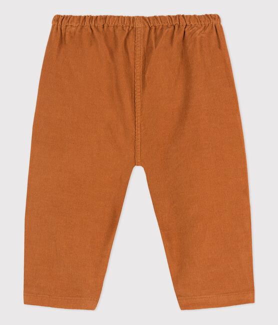 Babies' Fine Velour Trousers ECUREUIL brown