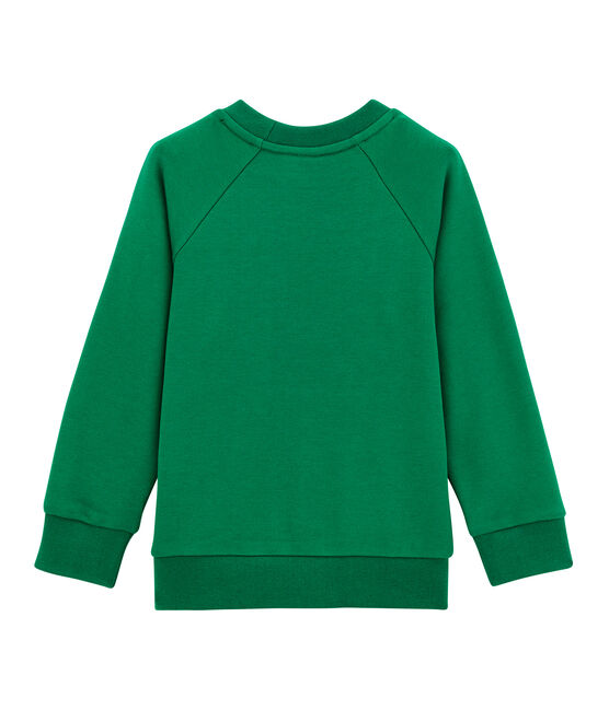 Boy's sweatshirt PIVERT green