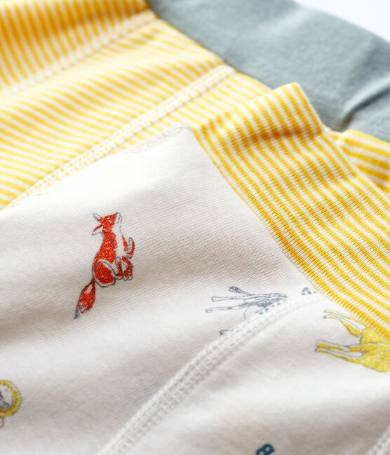 Boys' Mountain Sheep Print Organic Cotton Boxer Shorts - 2-Pack variante 1