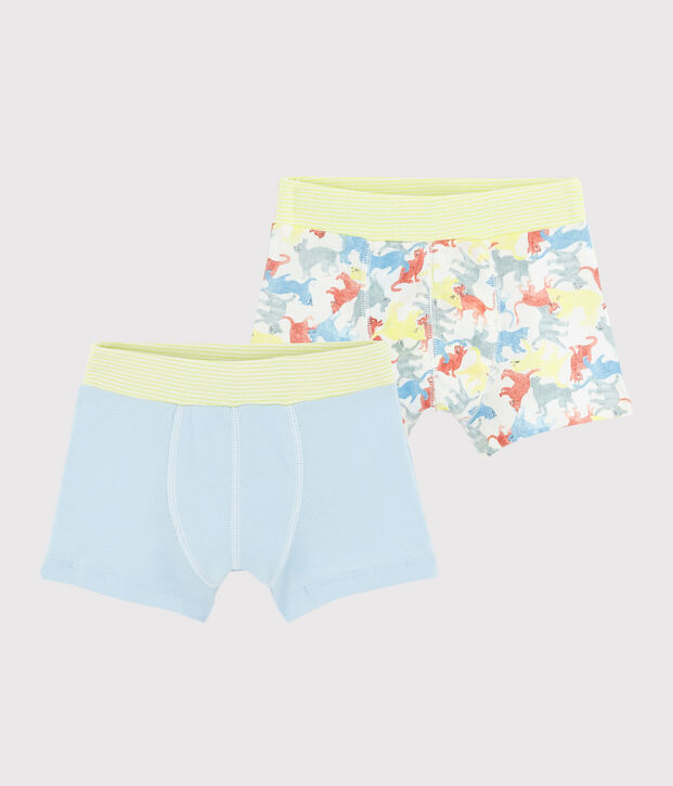 Boys' Cat Print Organic Cotton Boxer Shorts - 2-Pack multicolor