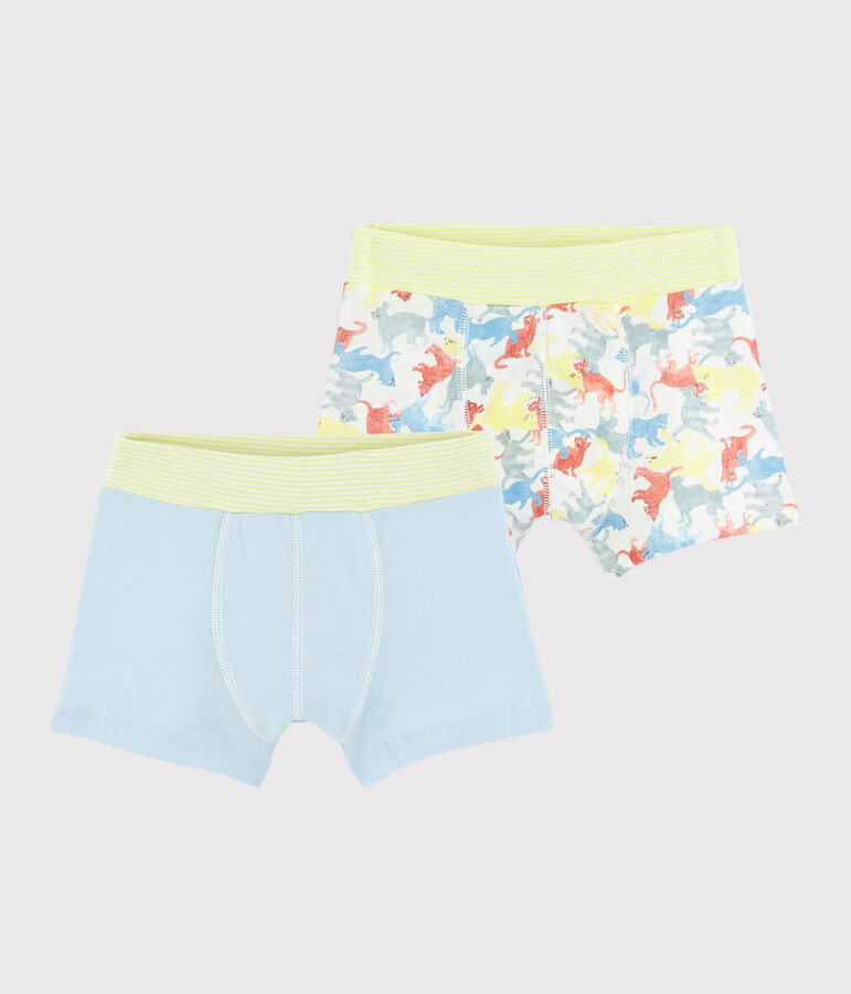 Boys' Cat Print Organic Cotton Boxer Shorts - 2-Pack multicolor