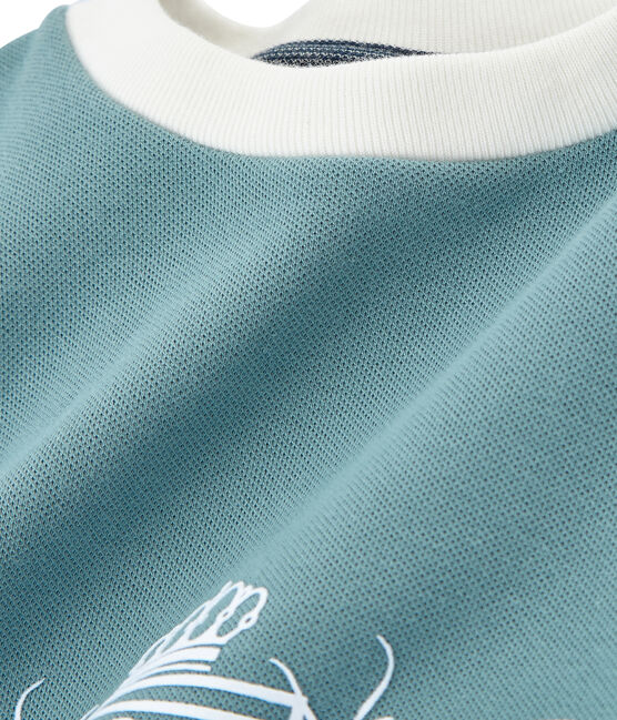 Boys Sweatshirt FONTAINE