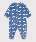 blue/white