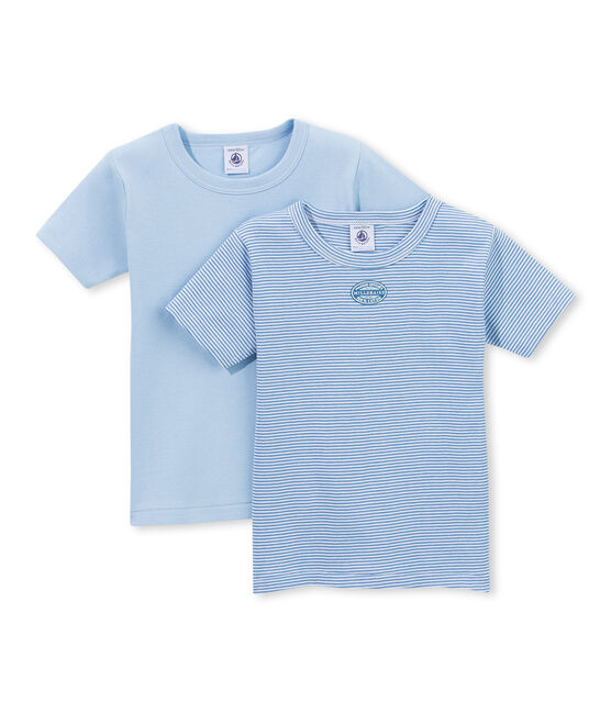 Lot de 2 t-shirts garçon rayés milleraies . set