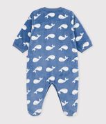 blue/white