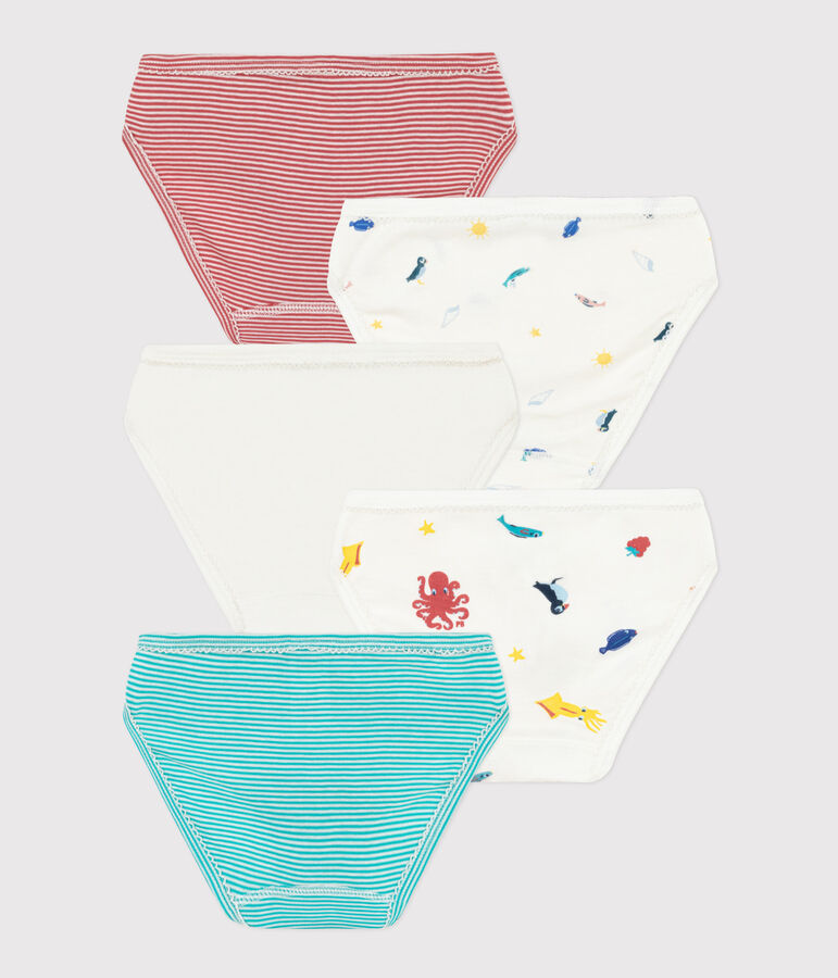 Girls' Cotton Briefs - 5-Pack multicolor