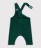 Babies' long-leg dungarees in plain corduroy TREE