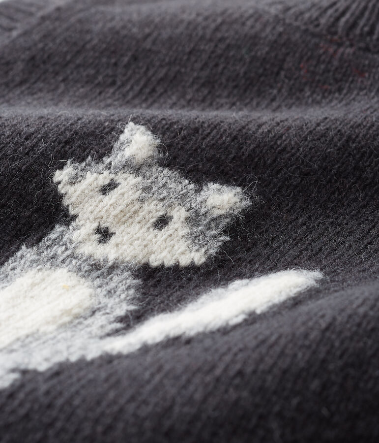 Baby Boys' Sleeveless Pullover grey