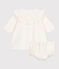 Babies' embroidered corduroy sprecial occasion dress and bloomers MILK Ecru