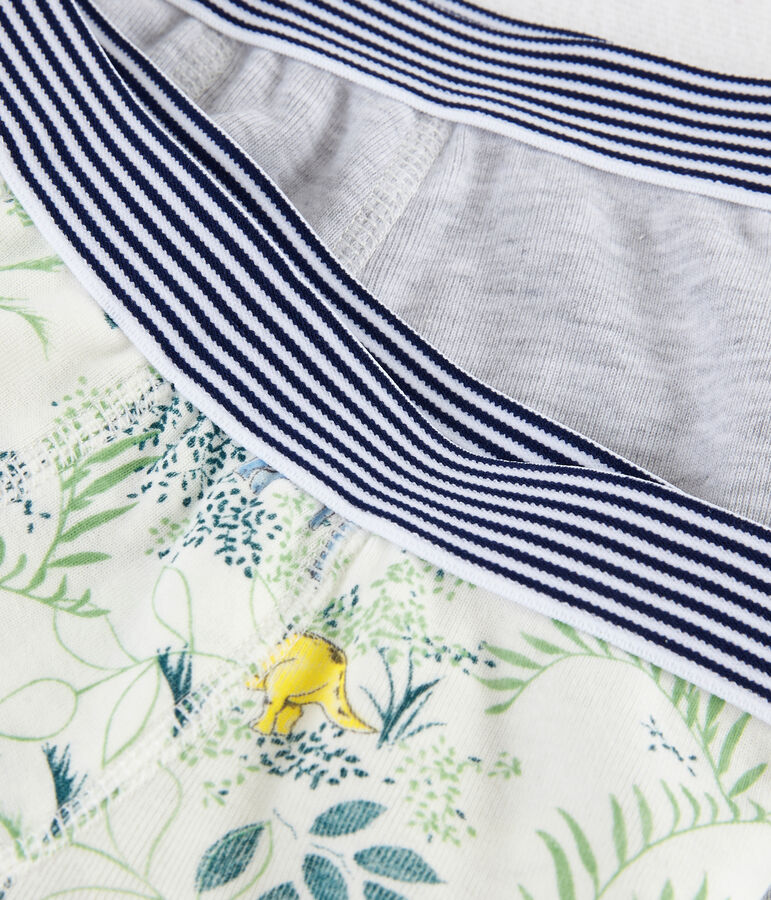 Boys' Underwear Set multicolor