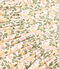 Girl's Short-sleeved Printed Cotton Dress AVALANCHE white/MULTICO