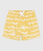 yellow/white