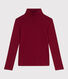 The Iconic cotton polo neck top for women