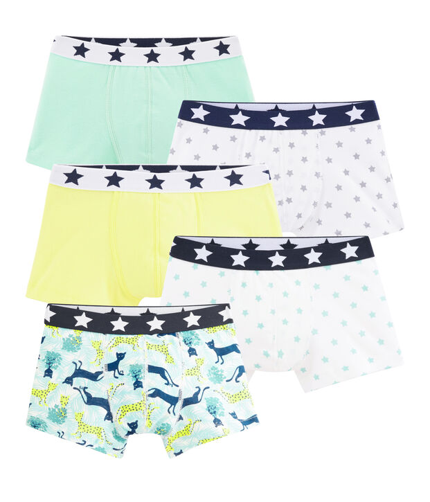 Boys' Boxer Shorts - 5-Piece Set multicolor