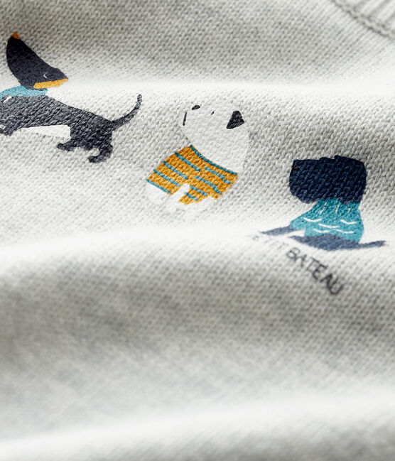 Baby boy's pullover with motif BELUGA CHINE grey