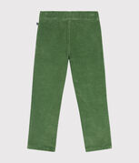 PALMERAIE green