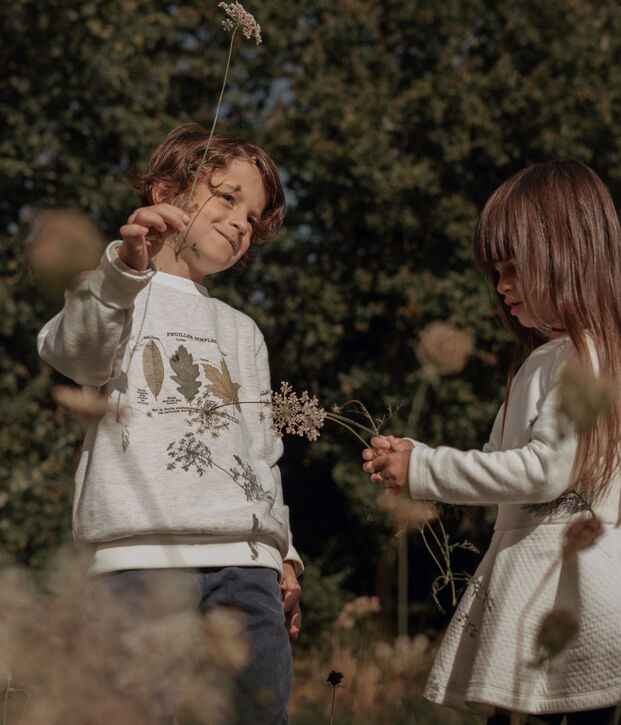 Petit Bateau x Deyrolle Boys' Sweatshirt MONTELIMAR CHINE