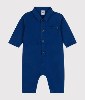 INCOGNITO blue