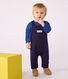 Babies' long-leg dungarees in plain thick cotton