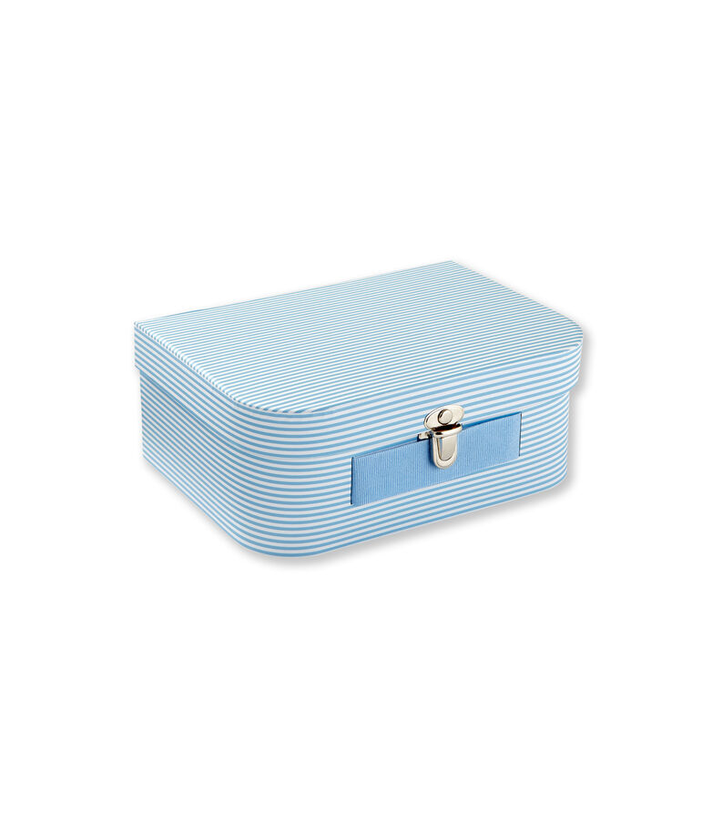 Multi-use milleraies striped case blue/white