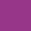 HIBISCUS purple